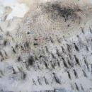 Н. Залозная "Небесная пауза" 2009. Холст, акрил, 110x140 см