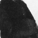 Розанова Ольга Владимировна.